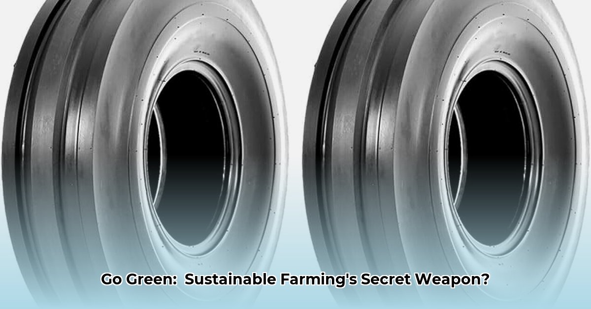 6-00-16-tractor-tire